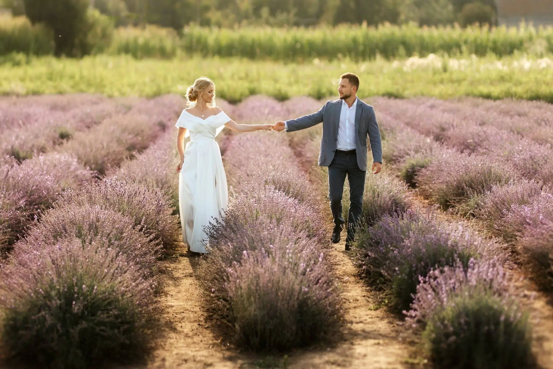 Bride And Groom On In The Lavender Field Purple
